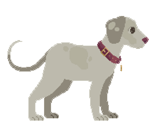 Good Boy Image