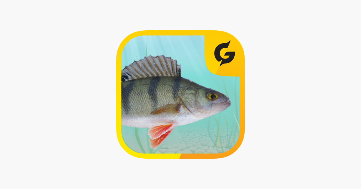 Games like Kalamäng