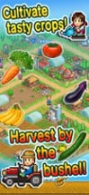 Pocket Harvest Image