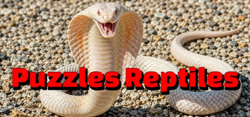 Puzzles Reptiles Image