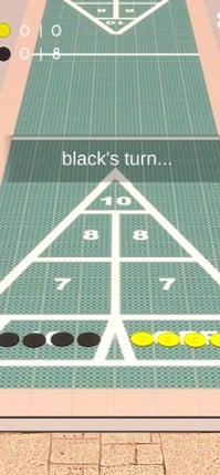 Shuffleboard 3D Image