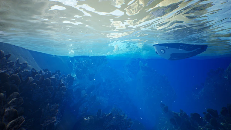 The Deep Image