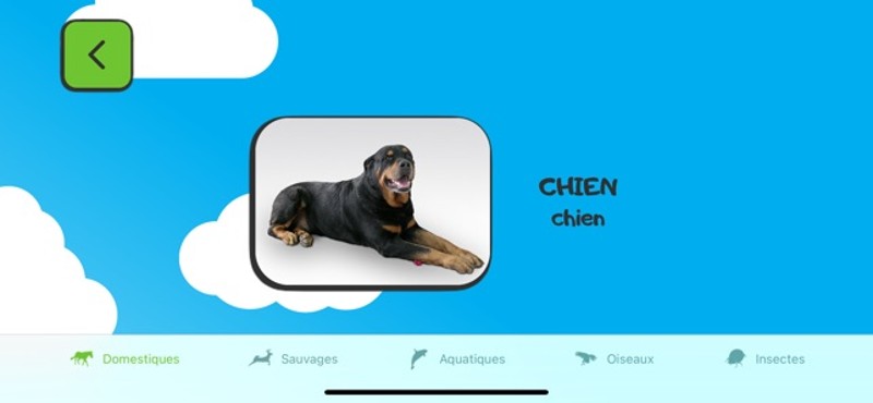 ABC for kids: French Image