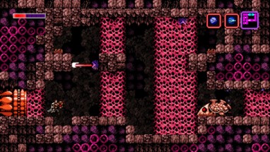 Axiom Verge Image