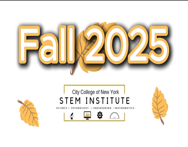 Games like CCNY  STEM Institute 2025 Fall Semester