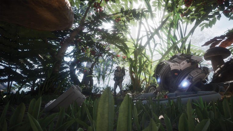 Infinitesimals Image