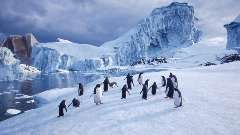 Lonely Penguin screenshot