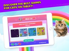 Ninja Cat: Game for Cats Image