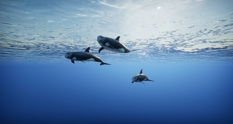 Primal Blue screenshot