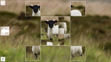 Puzzle Art: Artiodactyls Image