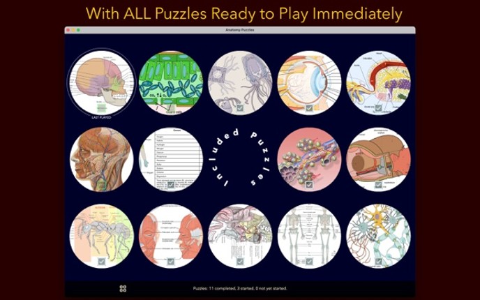 Anatomy Puzzles screenshot