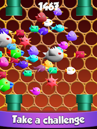 Cool Birds Fun Smash for Kids screenshot