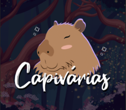 Capivárias Image