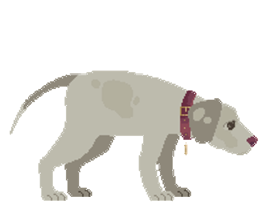 Good Boy screenshot