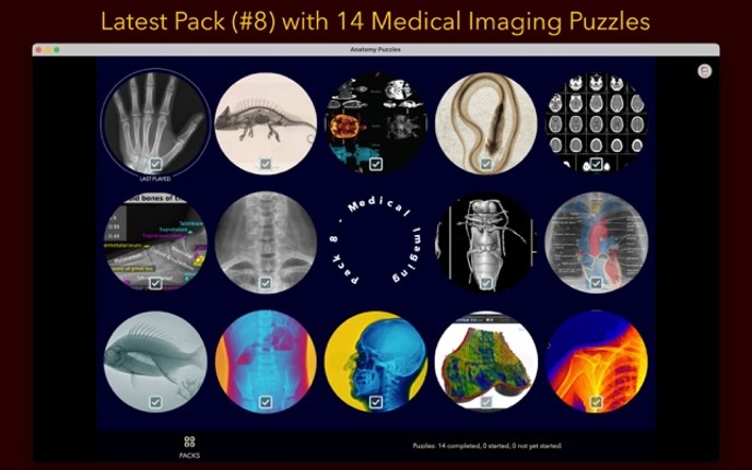 Anatomy Puzzles Image