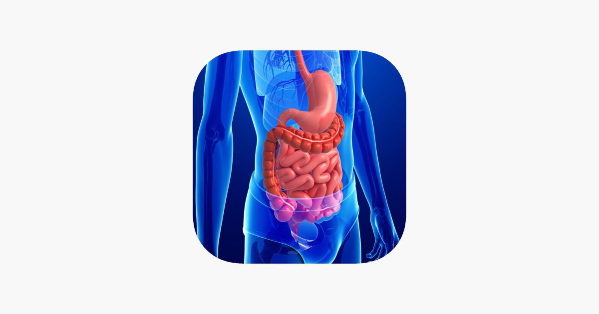 Games like Anatomy : Digestive System