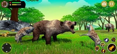 Bear Simulator Wild Animal Image