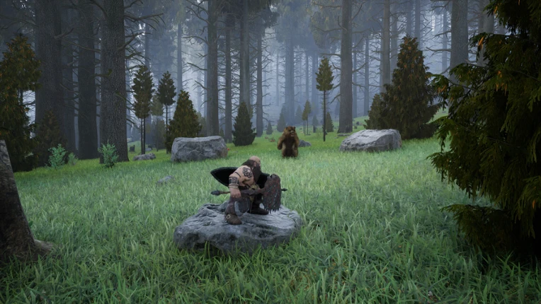 Dwarf Land Image