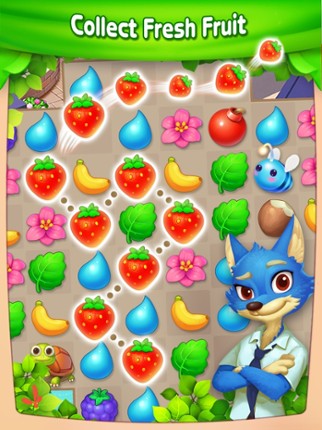 Fruit Hero: Link Blast screenshot