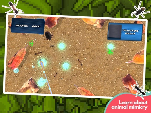 Gerard Layzard screenshot