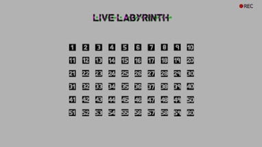 Live Labyrinth Image