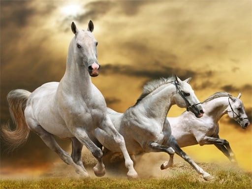 Games like Running Horse Slide