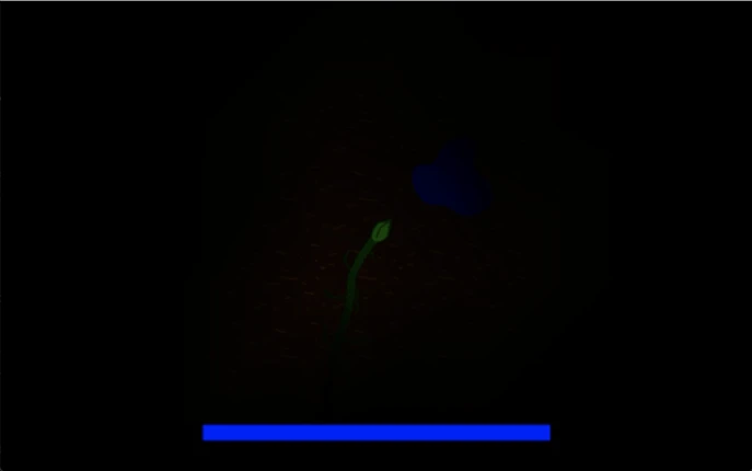 Seed Image