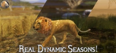 Ultimate Lion Simulator 2 Image