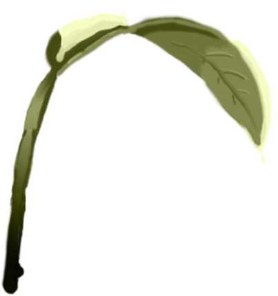 Nobamboo screenshot