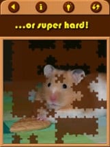 Hamster Jigsaw Puzzle Games Image