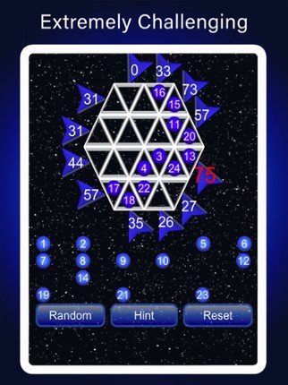 Magic Hexagon Number Puzzle Image