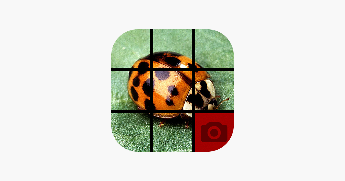 Games like Picture Tile Slider