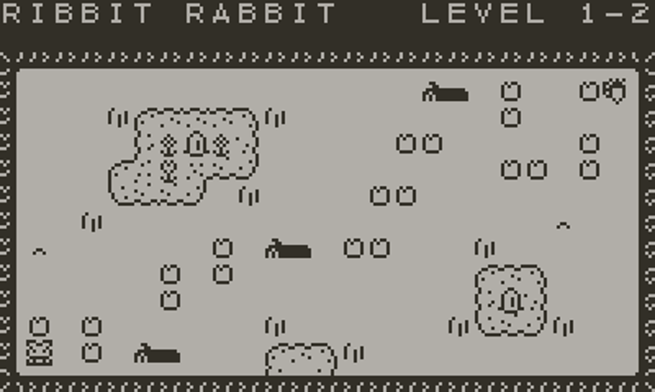 Ribbit Rabbit Image