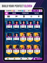 Soccer Eleven Manager Image