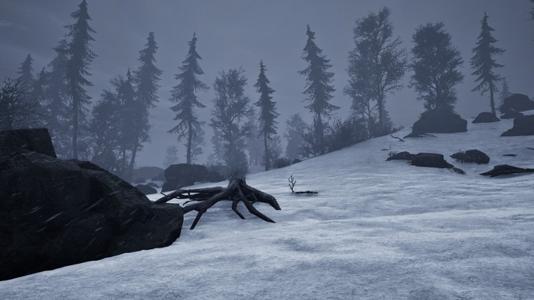 The Economic West Image