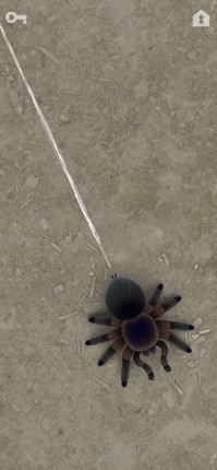 CAT ALONE 2 - Cat Toy screenshot