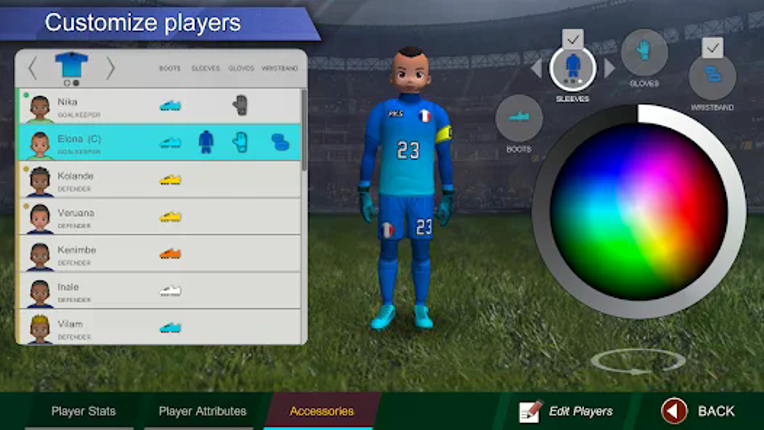 Pro Kick Soccer screenshot