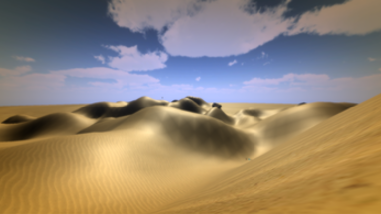 The Desert Image