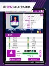 Soccer Eleven Manager Image