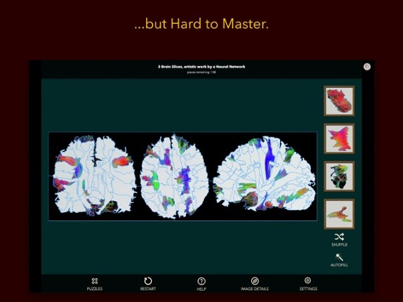 Anatomy Puzzles screenshot