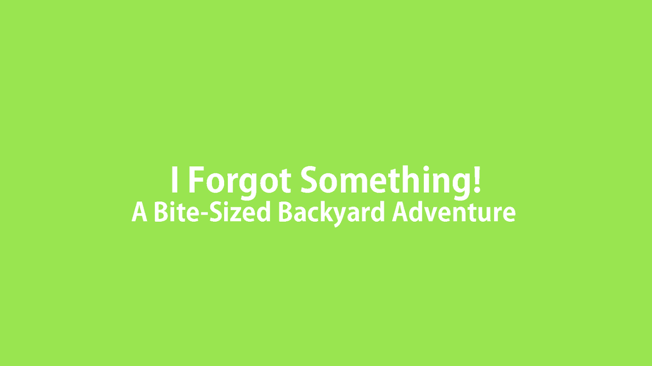 Games like I Forgot Something!