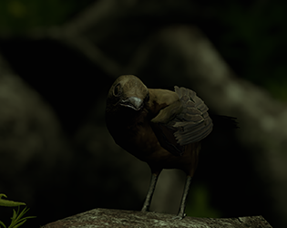 Games like The Vogelkop Bowerbird