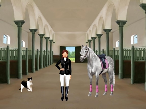 Horse and rider dressing fun Image