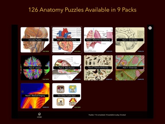 Anatomy Puzzles screenshot