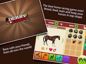 Derby Quest: Horse Manager Image