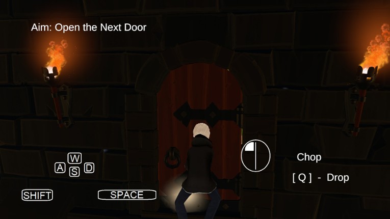 Find Her in Dungeon (3D Quest) screenshot