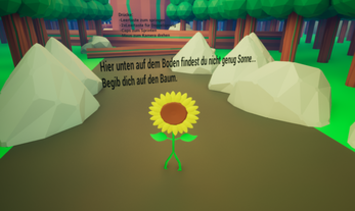 No Sun Flower Image