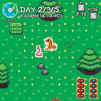 Shrewd Acceleration Image