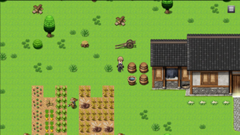 The Attraction Image