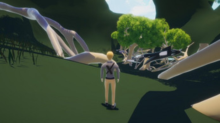 CRASHED Image